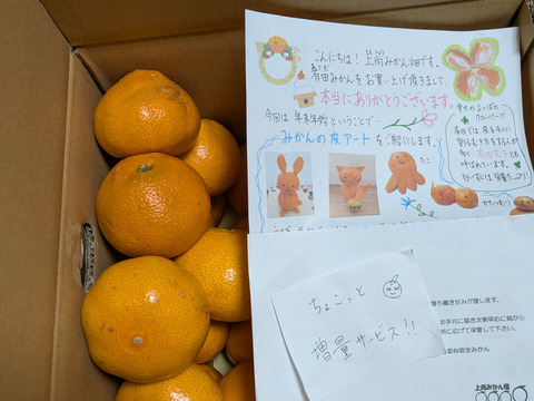 有田みかん【大玉】8kg（箱込）