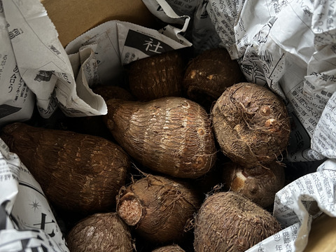 ⚠️数量限定⚠️『黒いダイヤ』高級料亭で出される里芋の味をご家庭で！生産量トップクラスの所沢から送る絶品里芋！芽なしという訳ありですが、農家のみぞ知る絶品です。 3kg（18〜24個入り）