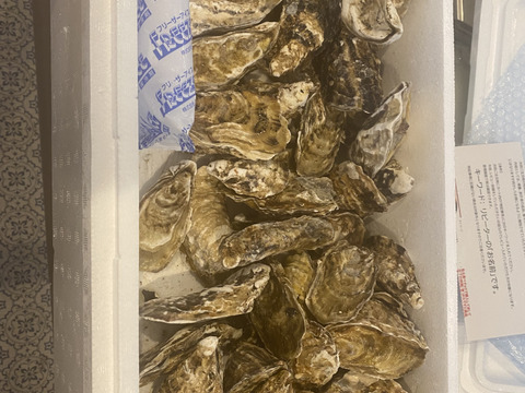 【水産庁補助事業　送料無料】🦪 生食用４ｋｇ 殻付き 牡蠣 （28〜55粒）牡蛎 殻付き牡蛎 kaki カキ 松島牡蠣屋 BBQに最適🔥 海産物 オイスター 😋生牡蠣