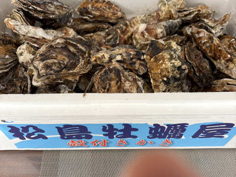 【期間限定10％値引き販売中】🦪 生食用５ｋｇ（30~80粒） 殻付き 牡蠣 牡蛎 殻付き牡蛎 kaki カキ 松島牡蠣屋 生牡蠣にも、BBQに最適🔥 海産物 オイスターA