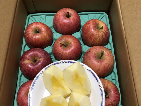 【先行予約・11月中旬収穫】葉とらずふじ 当園の１番人気りんご！ 家庭用 2.5kg (6〜12玉)