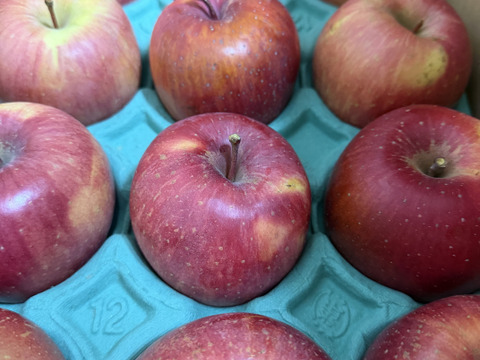 終わります🍎りんごグランプリ2025最高金賞1位🎊サンふじ 3キロ箱 家庭用  6玉〜15玉サイズ 傷あり  ID80274 安曇野 リンゴ 幻 幻のリンゴ 希少  甘い