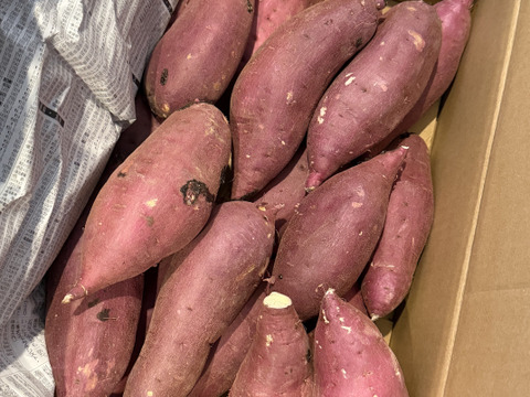 ねっとり甘い！熟成紅はるか　Mサイズ　5kg さつまいも