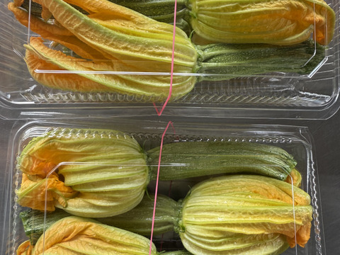 富山県産 花ズッキーニ 8本