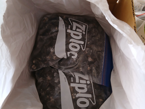 【アワード受賞福袋】【福袋】漁師直送！宍道湖産ヤマトシジミ・冷凍3.2kg（ご家庭用・Mサイズ）