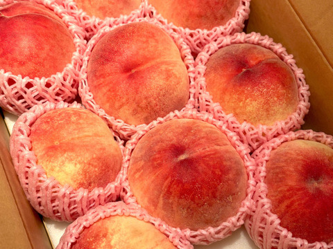 【優品】産地直送！硬めの桃（ご家庭用・3㎏）※品種：さくら【最終10箱限定】