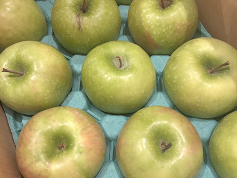 グラニースミス（約2.8㎏）特選　7～14玉
欧米で青りんごといえばこれ　アップルパイにおすすめ