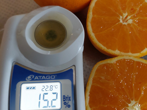 きよみオレンジ『サイズ混合』3.2kg（箱込）