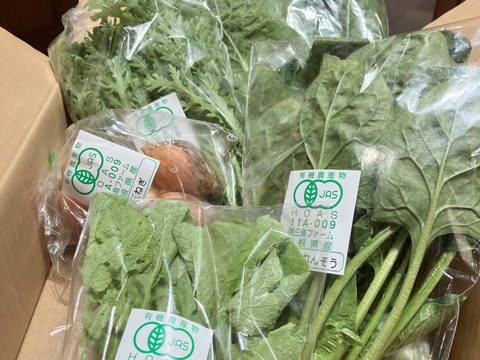 採れたて！旬の有機野菜の詰め合わせ（お試し6種）