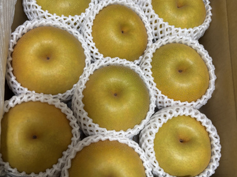 樹上完熟和梨「幸水」5kg【直送便】