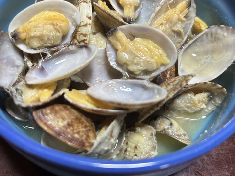 出汁最高！　熊本県産あさり　砂抜き済み　1キロ