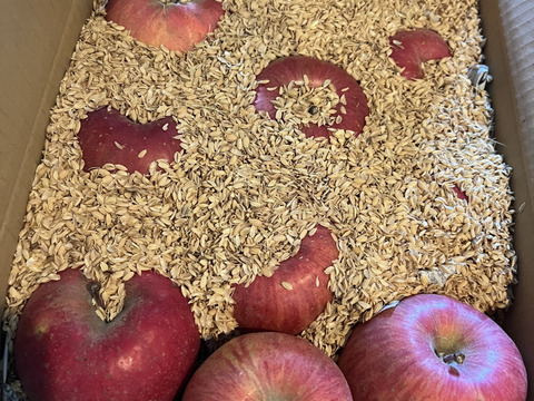 生産農家直送 信州りんご発祥の地 長沼りんご サンふじ 訳あり ご家庭用 3kg 長野県産 化学肥料不使用 除草剤不使用 人にやさしく環境にもやさしい農産物