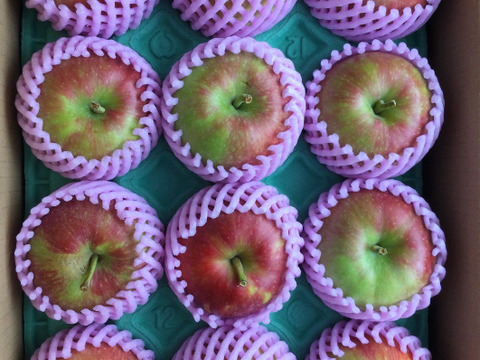 🍎【すっぱい夏りんご】シナノレッド3キロ箱 6玉〜15玉サイズ商品ID40750 長野県 信州 安曇野 リンゴ 幻 幻のリンゴ 予約 希少 旬