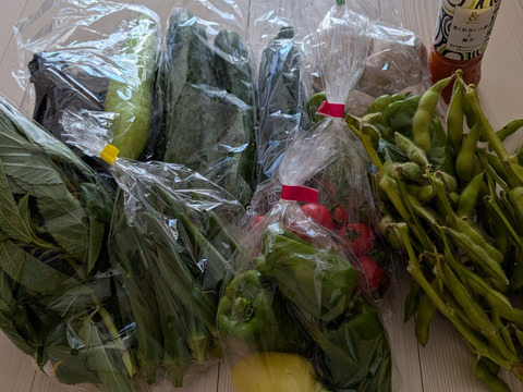 信州四賀より里山の旬野菜セット【M　10品目】