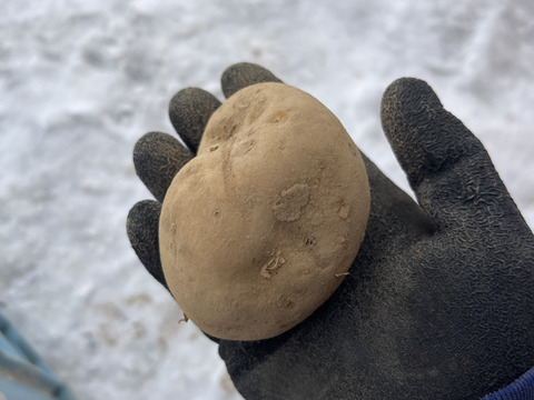 北海道産　じゃがいも(キタカムイ) 10kg B品　サイズ混合