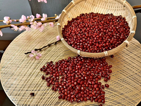 北海道十勝産【大納言小豆】880g（440g袋×2）＊令和7年度産＊