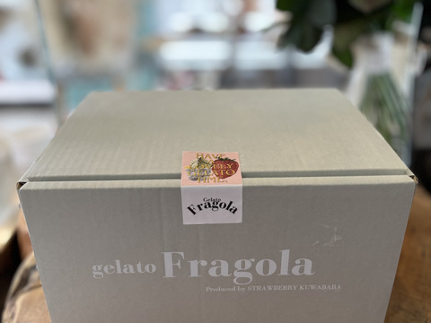 【最高金賞受賞のいちご農家が作る】イタリアンジェラート100ml×12個※フレーバーはおすすめで12種となります。
