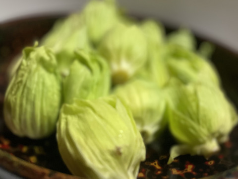 【天然の春の味覚】岩手県産ふきのとう1kg – 自然の恵みを新鮮直送