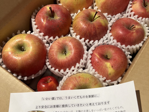 豊作還元セール！！家庭用サンふじ　約3kg