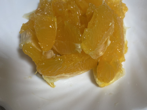 果汁たっぷり！紅八朔　9kg  家庭用