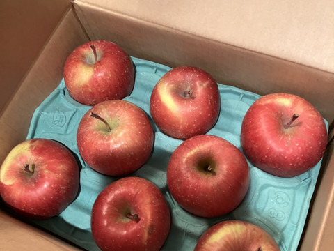 【毎年１万箱以上売れてます】約３キロ 青森県産りんご「樹上完熟葉とらずふじ」家庭用厳選品