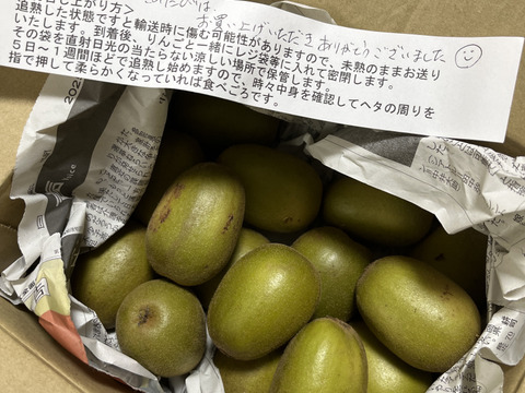 ★2025年度終売いたしました★希少品種のキウイフルーツ🥝『レッドキウイ』Mサイズ（1kg）