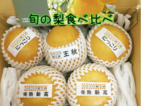 【旬の梨食べ比べ‼️3～5品種】何が届くかお楽しみ😋贈答用2.5kg以上、豊水・あきづき・かおり・あきあかり・二十世紀・南水・にっこり・新高・王秋・新興・愛宕の中から3品種以上詰め合わせます‼️