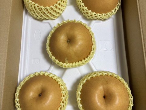 梨の王様！『清流球磨梨』新高　約5kg(5～14個入り)