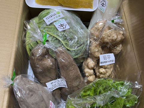 定期便設定（お届け日は２～３日前後します）【たっぷりいろいろ　２０００円セット】農家人が選ぶ旬野菜のおまかせセットです。季節ごとの旬の世界農業遺産ブランド野菜を厳選してお届け致します。