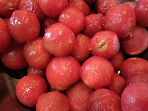 完熟冷凍ミニトマト　1.8ｋｇ★　パチャママ農園