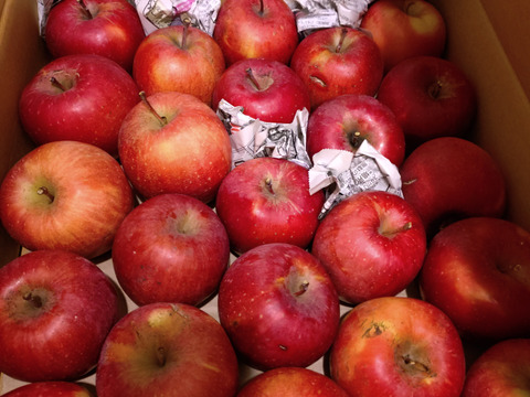 【今だけお買い得！訳あり★50%OFF★】家庭用葉とらずふじりんご5㎏【長野県産】