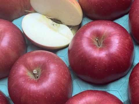 今目覚めた　シナノスイート5キロ　14～18玉　秋田県からすぐに食卓へ