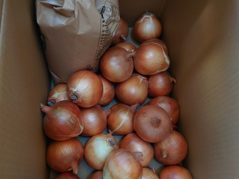 【福袋】玉ねぎ7kg🧅とキヌヒカリ玄米5kgその他葉物野菜など5種類以上の野菜セット