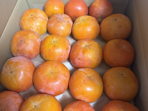 旬最後の味　訳あり富有柿　7.5kg　（30〜35個入）