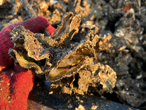 【1口5,000円】令和7年10月 牡蠣大量死 生産者応援チケット