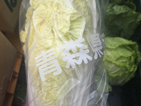 大量消費者向け　120サイズに詰め込み（6玉～8玉）