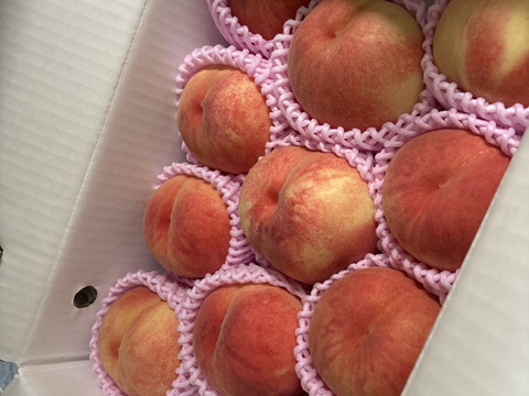 🍑【2025年8月中旬桃】3kg　8～14玉【ASIAGAP認証農場：津軽農園】　安心・安全な桃　収穫した日に発送　家庭用　農家直送【朝どれ】