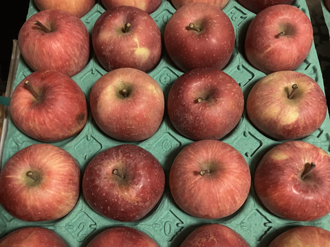 すぐ発送！5キロ 16-20 蜜入チェック済！樹上完熟蜜入葉取らずサンふじ　農薬半減栽培で安心安全