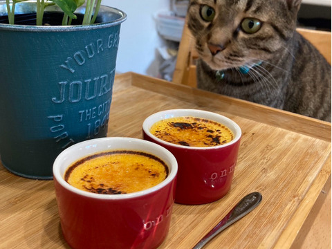 【赤ちゃんから大人まで味わえる】バターナッツかぼちゃ２～３個（約１キロ～1.2キロ）