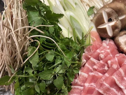 【年末予約専用】せりしゃぶセット4〜5人前  比内地鶏 出汁 しゃぶしゃぶ 三関産せり 比内地鶏 鍋 絶品 お歳暮 ギフト 家庭 せり 鍋セット 鍋