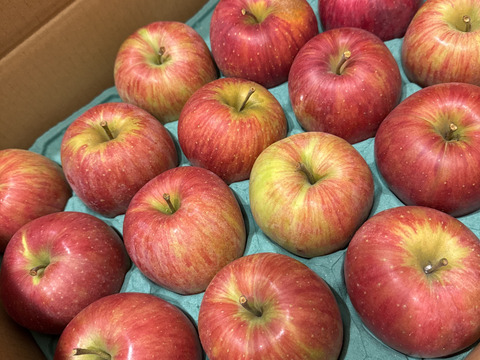 【長野県産】【今売れてます！】スイートって名前は伊達じゃない！甘いのが好きな方におススメ！
シナノスイート　家庭用　5kg