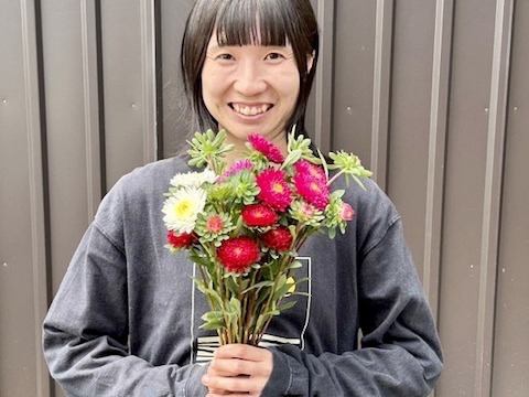 【旬のお花！】アスター10本　おまかせMiX（30〜50cm）