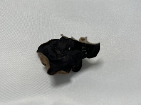 福岡県糸島産乾燥きくらげ訳あり50g×2個