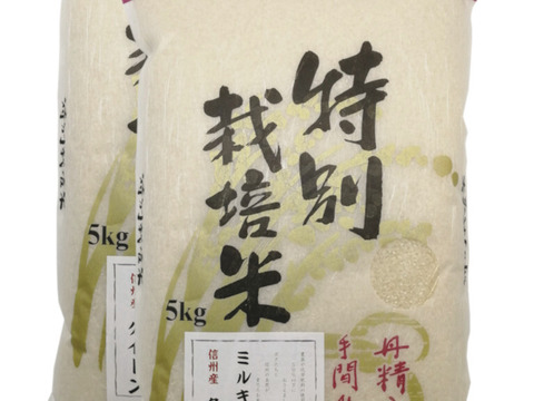 令和8年産【白米10kg】特別栽培米ミルキークイーン：長野県産のお米