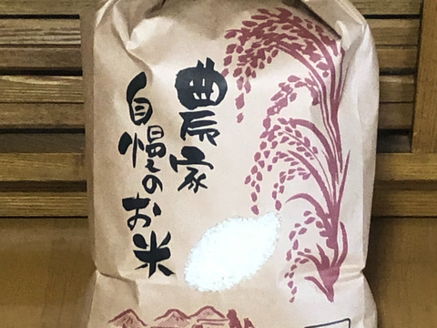 令和6年産 北陸石川県 コシヒカリ10kg 精米済み：石川県産の加工