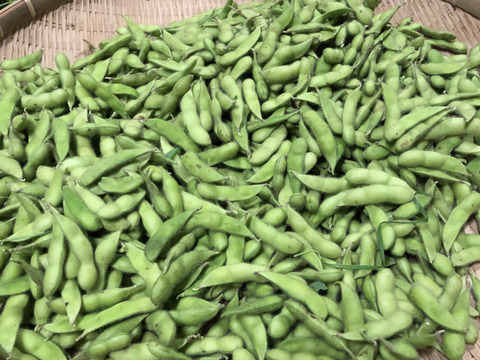 枝豆1.4キロ(350g入を4袋)