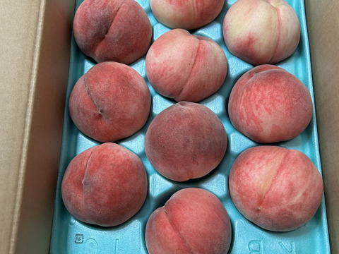 桃　あかつき　良品　約3kg (8個〜14個)数量限定