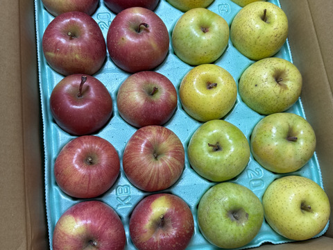 農薬50％減 訳ありご家庭用 サンふじ・王林セット5kg【特別栽培認証取得】🍎🍏りんご食べ比べ 青森 人気 定番セット