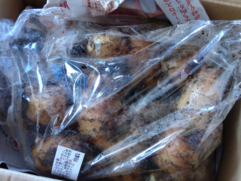 土付き生姜　（1kg）