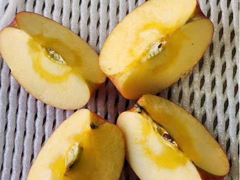 家庭用りんご🍎サンふじ🍎　　3kg　大玉～中玉入り